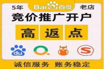 百度优化推广案例剖析：某电商平台的成功之路